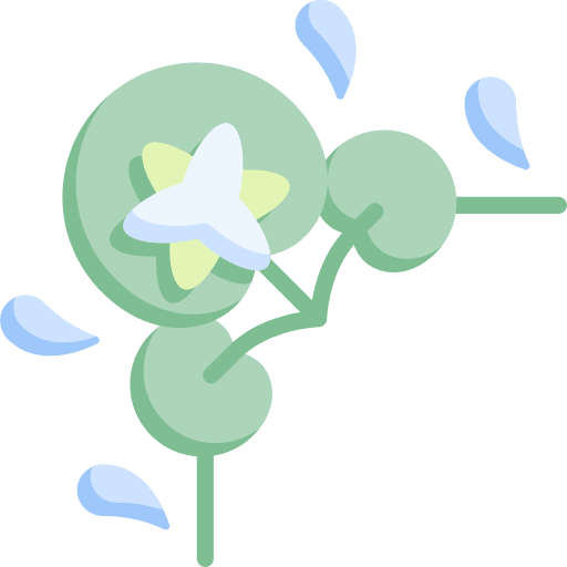 Water lily art water lily floral design icon Water lily art water lily floral design icon