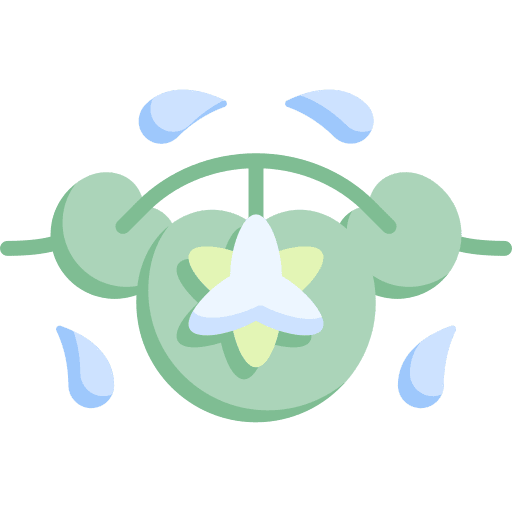 Water lily floral design water lily nature icon Water lily floral design water lily nature icon