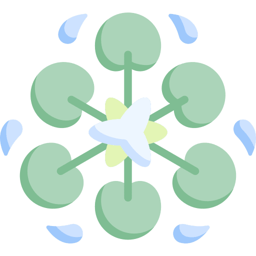 Water lily flower design water lily art icon Water lily flower design water lily art icon