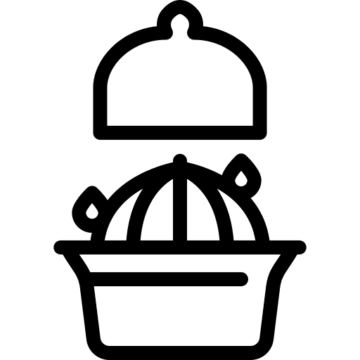 Lemon squeezer juicer cooking equipment gastronomy icon