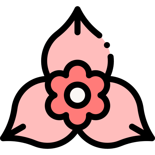 Bougainvillea flower petals botanical icon