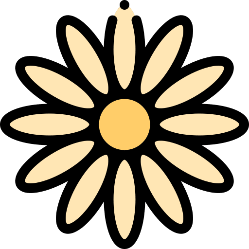 Daisy flower daisy nature icon