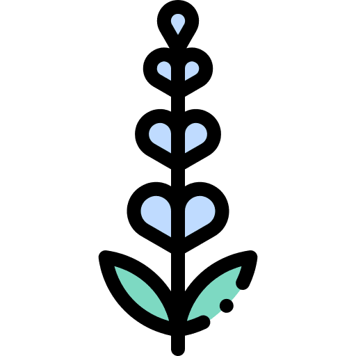 Lavender aroma flower essence icon