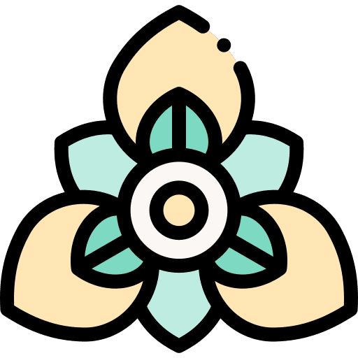 Amaryllis petals botanical nature icon