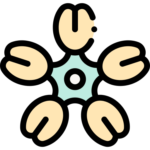 Gallardia nature blossom petals icon
