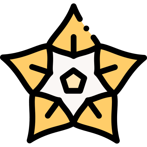 Hoya hoya flower blossom icon