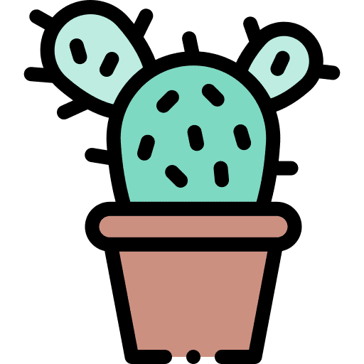 Cactus nature decoration cactus icon