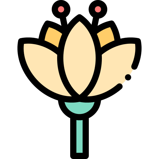 Lotus blossom lotus petals icon