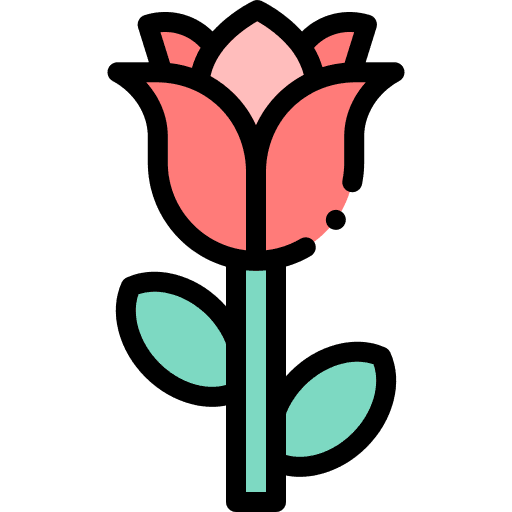 Rose blossom botanical rose icon