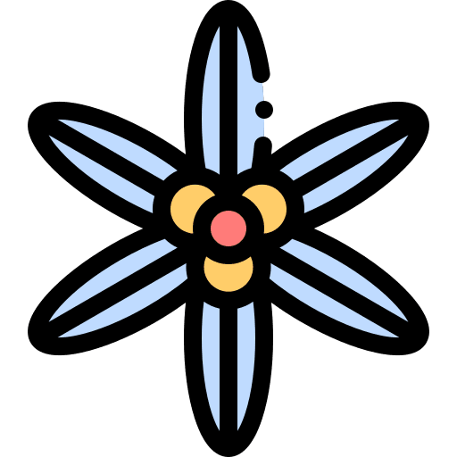 Sisyrinchium nature petals botanical icon