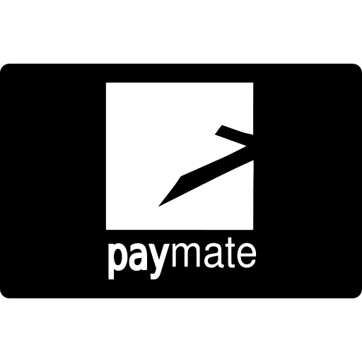 Symbols logotype pay pay cards icon