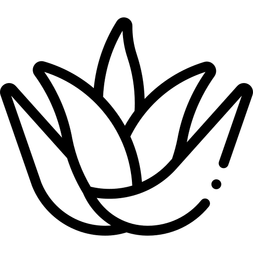 Aloe vera aloe cosmetic nature icon