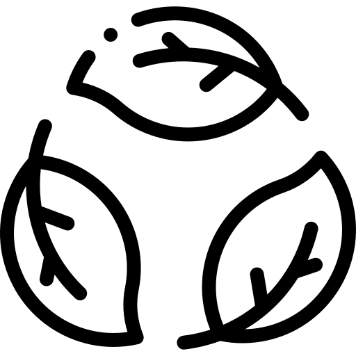 Bio nature eco friendly ecologism icon