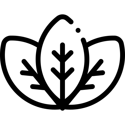 Leaves sustainable healing herbs icon Leaves sustainable healing herbs icon