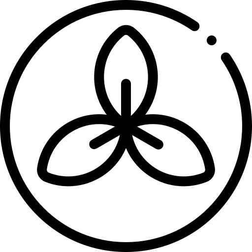 Organic vegan nature organic icon Organic vegan nature organic icon