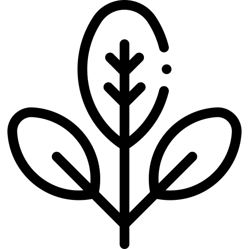 Leaves leaves botanical garden icon Leaves leaves botanical garden icon