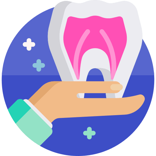 Tooth tooth anatomy teeth icon Tooth tooth anatomy teeth icon