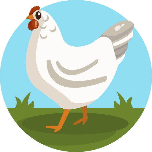 Chicken animals farming farm icon