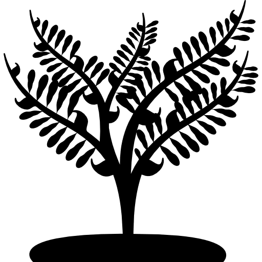 Big plant like a small tree tree plants leaves icon