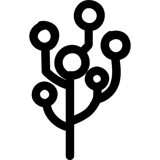 Tree with balls on the top of the branches shapes branches nature icon