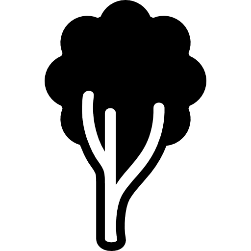 Tree shape nature foliage trees icon