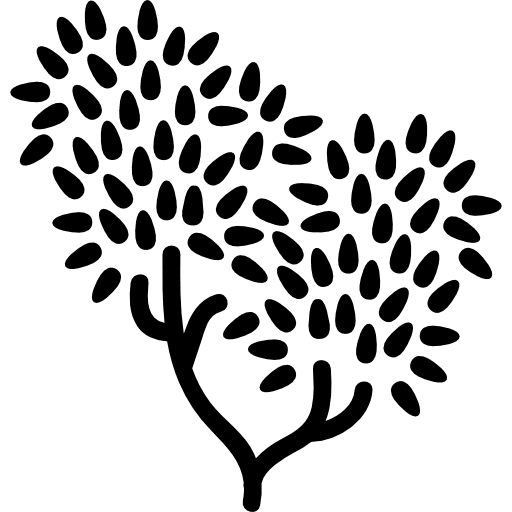 Tree with leaves foliage tree trees foliage icon