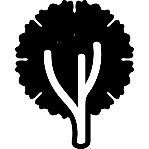 Tree of circular shape foliage nature foliage tree icon