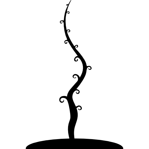 Tree trunk growing from soil tree young tree young icon