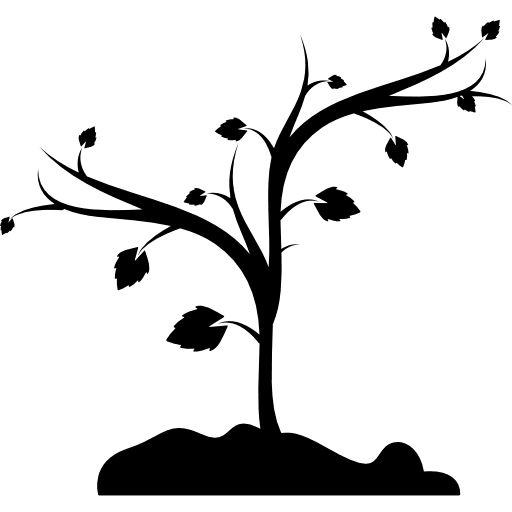 Tree shape trees branches tree icon