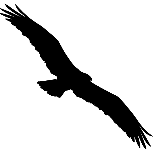 Bird osprey shape bird shape silhouette icon