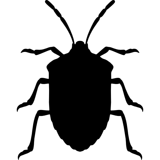 Stink bug insect shape from top view shape bugs stink bug icon