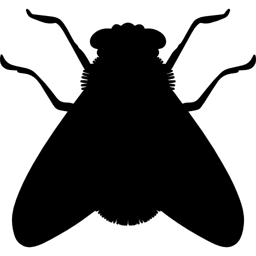 Fly shape fly insect vertical icon