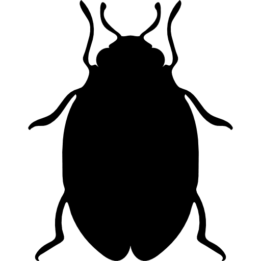 Insect bed bug shape animal shapes bed icon