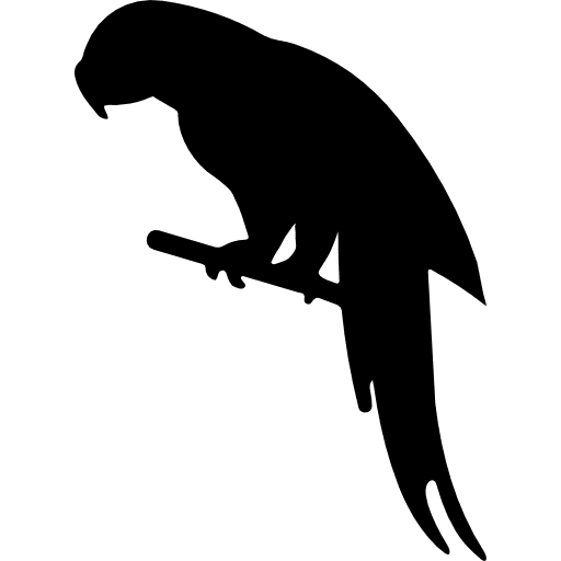 Parrot shape shapes bird birds icon