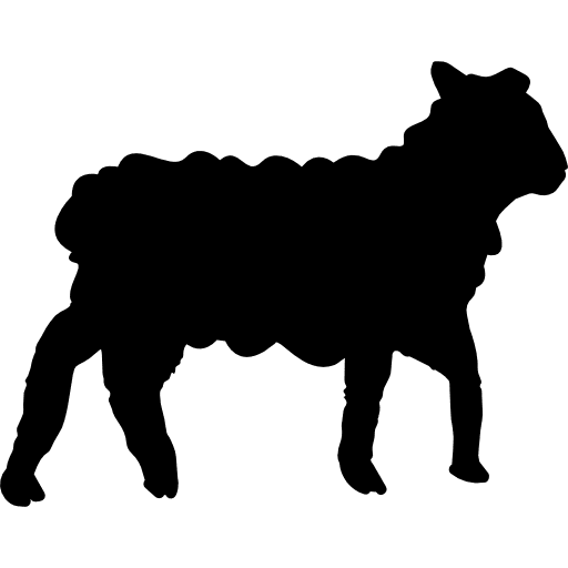 Sheep animal kingdom mammal sheep icon