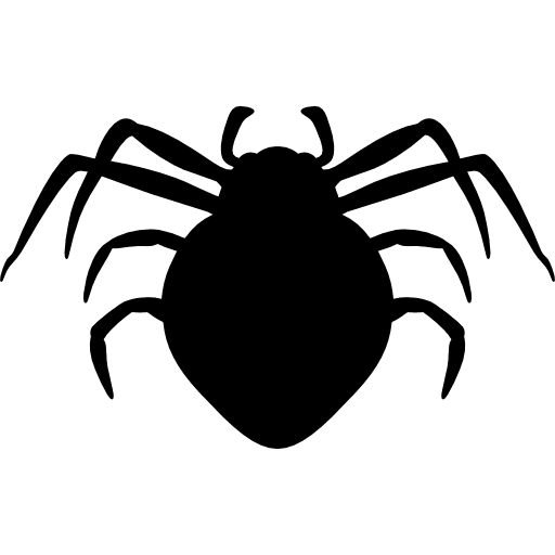 Spider arthropod animal silhouette animals animal shape icon