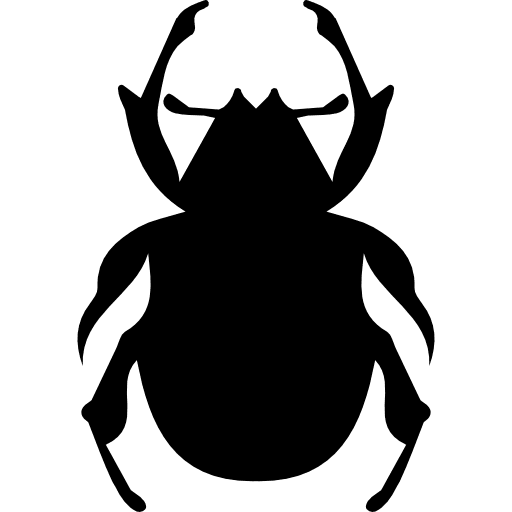 Beetle shape animals animal kingdom insects icon