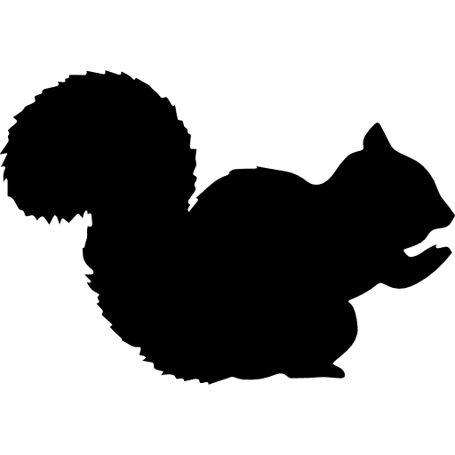 Squirrel shape animal side view squirrels icon