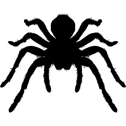 Tarantula arthropod animal silhouette animal kingdom arthropods shapes icon