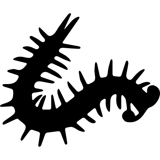 Millipede silhouette animals silhouette insect icon