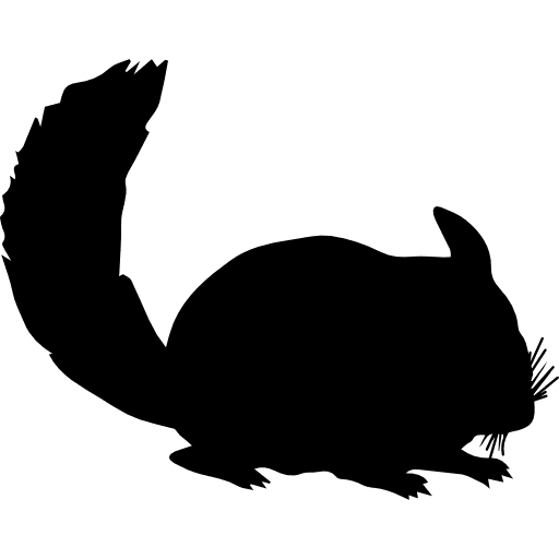 Chinchilla mammal animal silhouette shape chinchilla silhouette icon