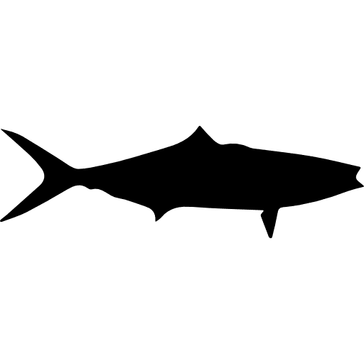 Fish rainbow runner shape silhouette animal kingdom animal icon