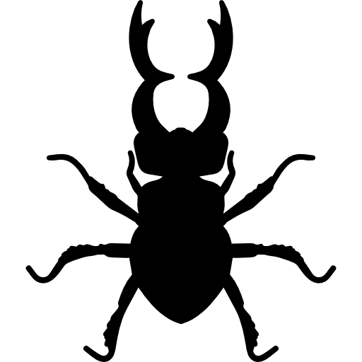 Stag beetle insect animal shape stag insect insects icon