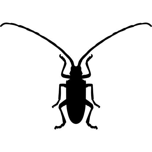 Fungus beetle insect shape insect animal kingdom animals icon