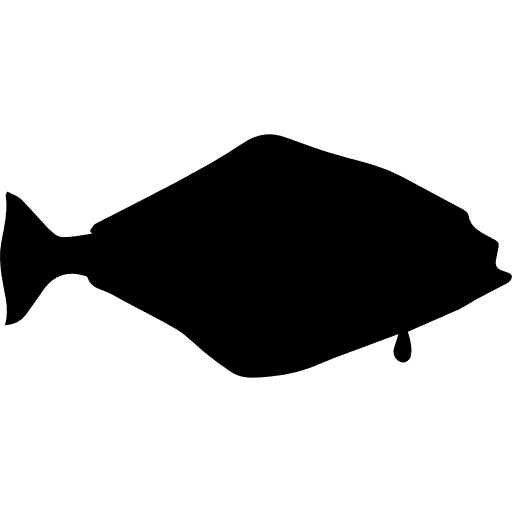 Halibut fish shape fishes animal kingdom shapes icon