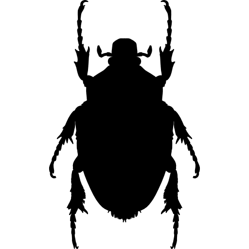 Insect shape of stink bug insect animal stink icon