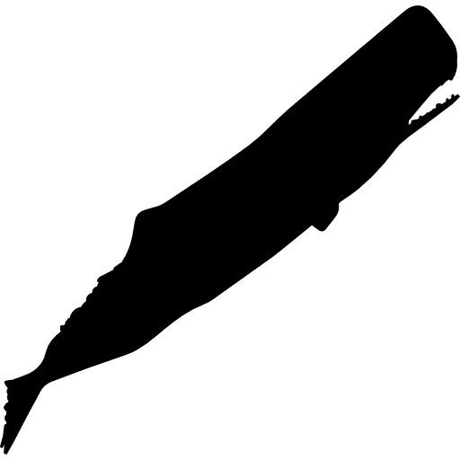 Sperm whale silhouette whales shape shapes icon