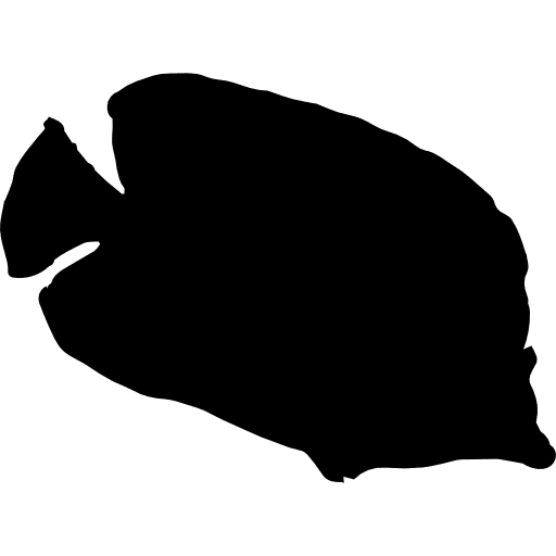 Bannerfish silhouette water fish fishes icon