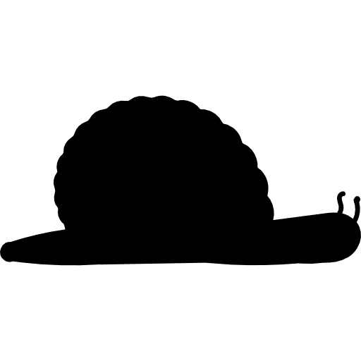Snail shape snails animals snail icon
