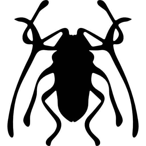 Beetle insect trictenotomidae beetle insects animal icon